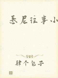 悉尼往事小说