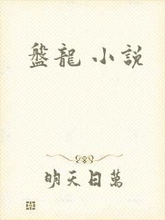 盘龙 小说封面