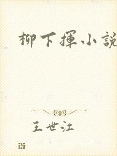 柳下挥小说封面
