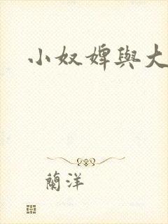 小奴婢与大少爷