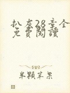 扒灰28章全部免费阅读封面
