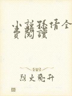 小说孙倩全文免费阅读