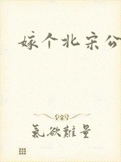嫁个北宋公务员封面