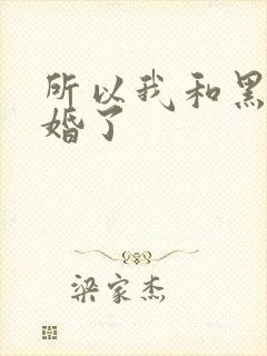 所以我和黑粉结婚了