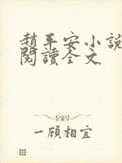 赵平安小说免费阅读全文