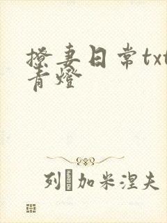 撩妻日常txt青灯封面