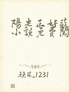 阳光正好苏玥玥小说免费阅读封面