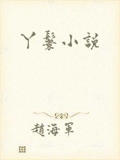 丫鬟小说