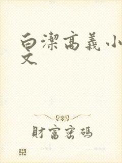 白洁高义小说全文