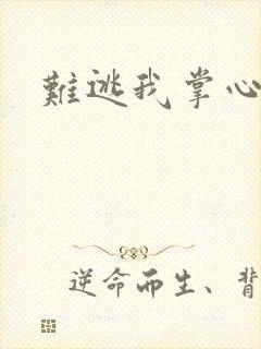 难逃我掌心