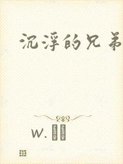 沉浮的兄弟封面