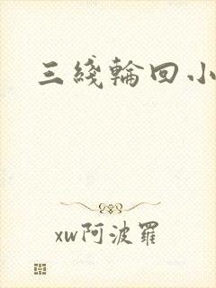 三线轮回小说