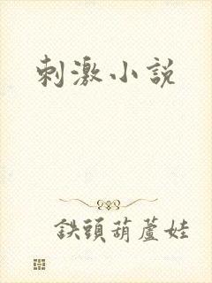 刺激小说