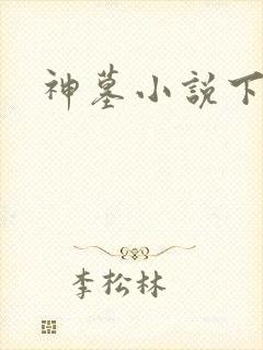 神墓小说下载封面