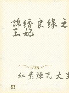 锦绣良缘之北地王妃