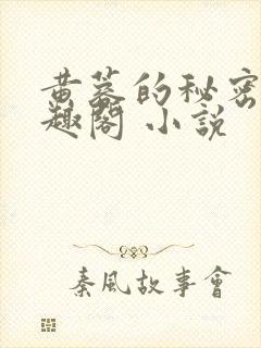 黄蓉的秘密 笔趣阁 小说