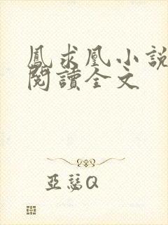 凤求凰小说免费阅读全文封面