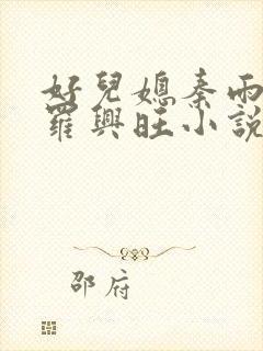 好儿媳秦雨罗明罗兴旺小说封面