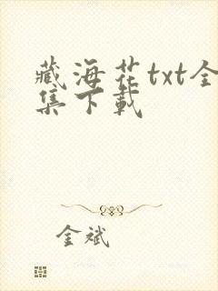 藏海花txt全集下载封面