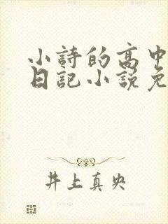 小诗的高中成长日记小说免费阅读
