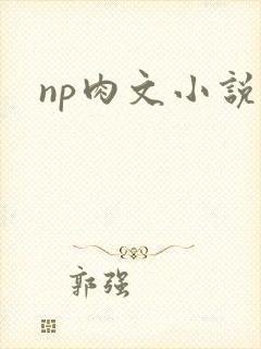 np肉文小说