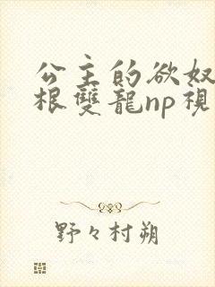 公主的欲奴h四根双龙np视频