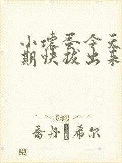 小坏蛋今天危险期快拔出来封面