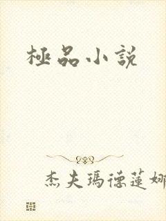 极品小说