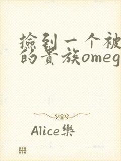 捡到一个被抹布的贵族omega封面