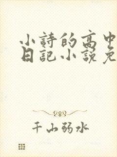 小诗的高中成长日记小说免费阅读