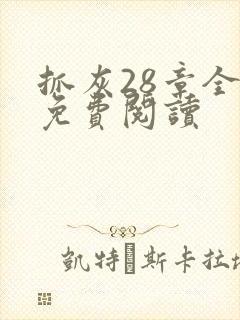 抓灰28章全部免费阅读