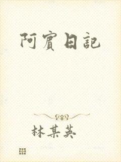 阿宾日记封面