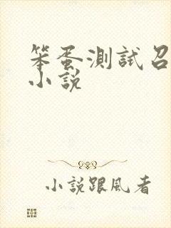 笨蛋测试召唤兽小说