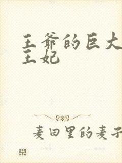 王爷的巨大进入王妃