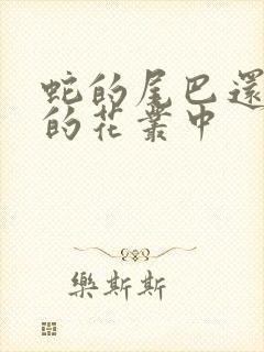 蛇的尾巴还在我的花丛中