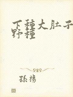 下种大肚子怀孕野种
