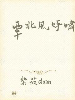 西北风呼啸的中午
