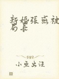 新婚张燕被两个局长封面