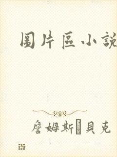 图片区小说区