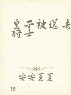 皇子被送去犒劳将士封面
