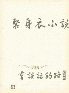 紧身衣小说封面