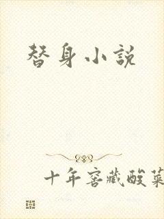 替身小说封面