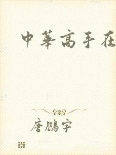 中华高手在异世