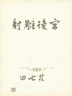 射雕后宫封面