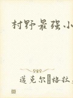 村野最强小农民