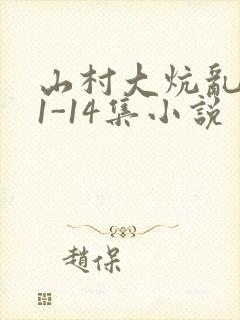 山村大炕乱肉续1-14集小说封面