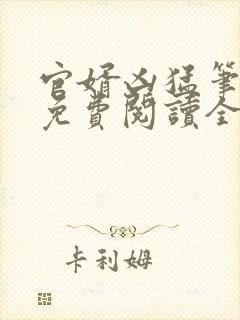 官婿凶猛笔趣阁免费阅读全文封面