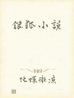 银狐小说