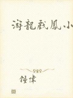 游龙戏凤小说