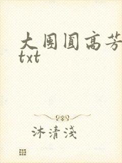 大团圆高芳小说txt